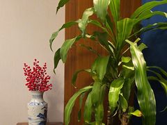 -松鹤楼·非遗·苏帮菜(融科店)