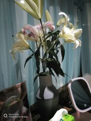 -琦品高端美容SPA私佳美场