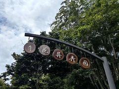 -中国科学院西双版纳热带植物园