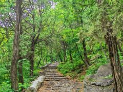 -阳台山自然风景区
