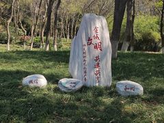 -红梅公园