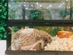 -狗道宠物(常熟印象城店)