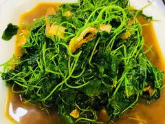 -观桥阁(锦溪店)