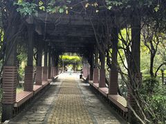 -山东大学(千佛山校区)