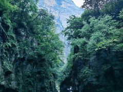 -云台山风景名胜区