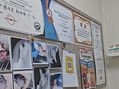-美联众合动物医院·24h京西诊疗中心