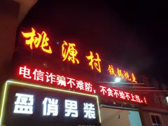 -桃源村铁锅炖鱼(体育馆道店)