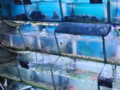 -星奇缘·海鲜餐厅(东山美食地标店)