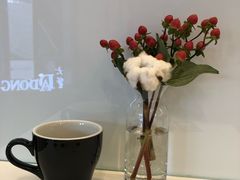 -Seesaw Coffee(上海国金中心店)