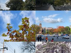 -南通濠河风景名胜区