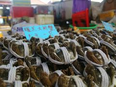 -大湾区中央湿地公园-十九涌