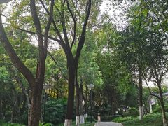 -重庆彩云湖湿地公园