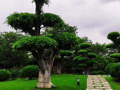 -南宁南湖公园