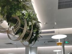 -Aqua Oasis 水天堂(太湖中心mall店)