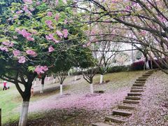 -重庆园博园