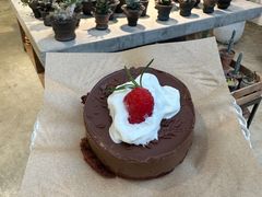 -自由生长植物工作室(深港花卉中心店)