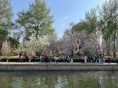 -元大都城垣遗址公园
