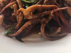 小鱿鱼-WILDS 野有食(碧坞店)