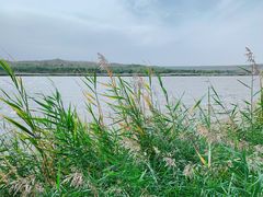 -国强手抓(西夏区店)