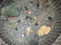 -福茂源横山铁锅羊肉(牡丹园店)
