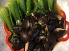 -金贝儿月嫂(高新尚品国际店)