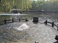 -百脉泉景区