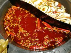 鸳鸯锅-蜀大侠火锅(森兰花园城店)