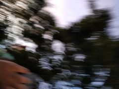 -厚山庭院重庆老火锅