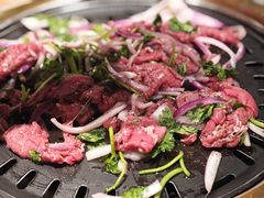-杨小佳·齐齐哈尔烤肉·烤串(广州店)