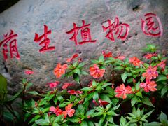 -中国科学院西双版纳热带植物园