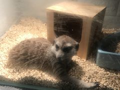-平行世界·猫咖(首经贸店)