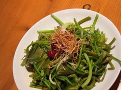 -菌自由丨野生菌火锅特色庭院餐厅(丽江古城店)