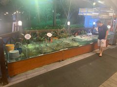 水产区-渔家火锅·海鲜自助餐·演艺(亚龙湾天域酒店)