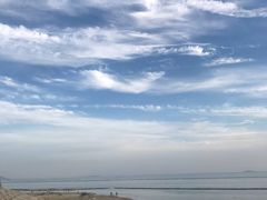 -合肥滨湖国家森林公园