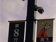 -迪士尼乐园停车场