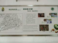 雨花石展厅-六合国家地质公园桂子山景区