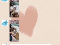 -宠物之家Pets Home 宠物寄养酒店