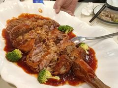 -丁老爷子苏香圆