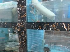 -浔味·山屿湖·正宗淳牌全鱼宴老字号