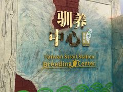 -广东惠东海龟国家级自然保护区