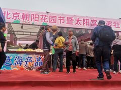 -太阳宫公园