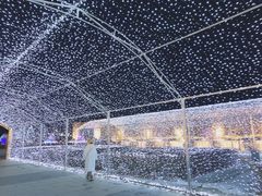 -长春世界雕塑园冰雪艺术天地