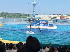 -秦皇岛乐岛海洋王国