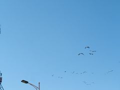 -宗角禄康公园