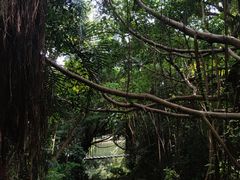 -燕晗山郊野公园
