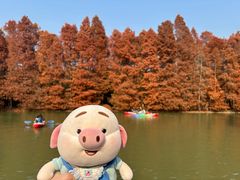 -上海海湾国家森林公园