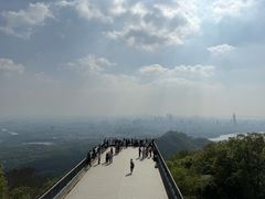 -紫金山山顶公园