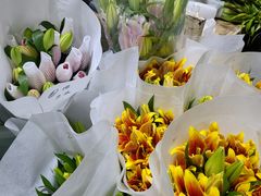 -昆明国际花卉拍卖交易中心