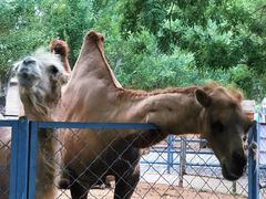 -长白岛森林公园