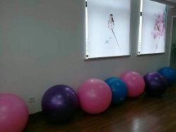 -爱尔乐美孕产瑜伽·普拉提